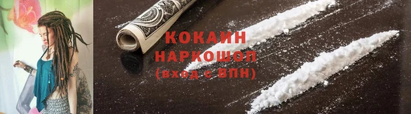 ПСИЛОЦИБИНОВЫЕ ГРИБЫ Арсеньев