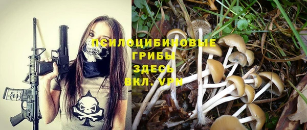 ПСИЛОЦИБИНОВЫЕ ГРИБЫ Арсеньев