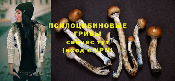 винт Армянск